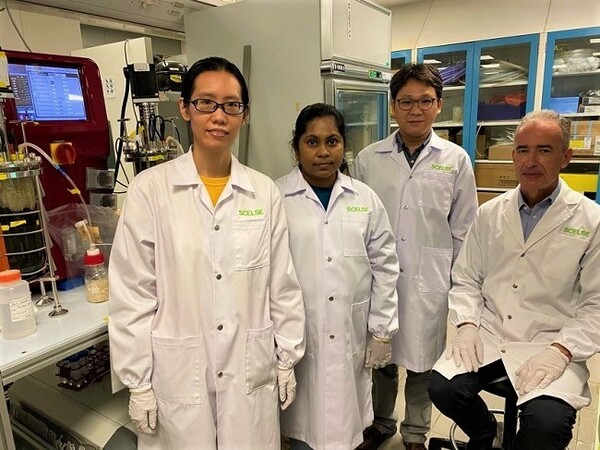 난양 공과대학교(Nanyang Technological University, NTU Singapore)의 연구팀은 기존 보다 더 높은 온도에서 박테리아를 사용해 화학 물질을 흡수해 하수에서 인을 제거하는 기술을 개발했다고 밝혔다.