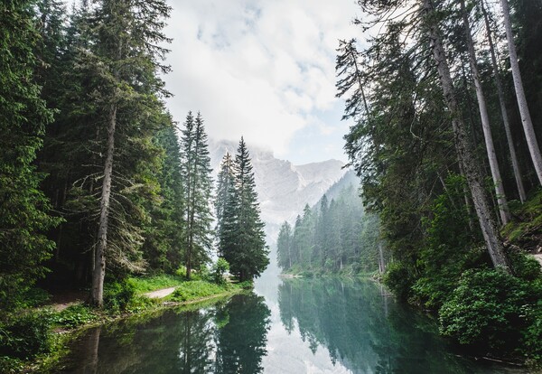      긲(forested watersheds) ߷  սǵ  , ̴  ϽŰ ó  ų  ִ. [ó = Pixabay]
