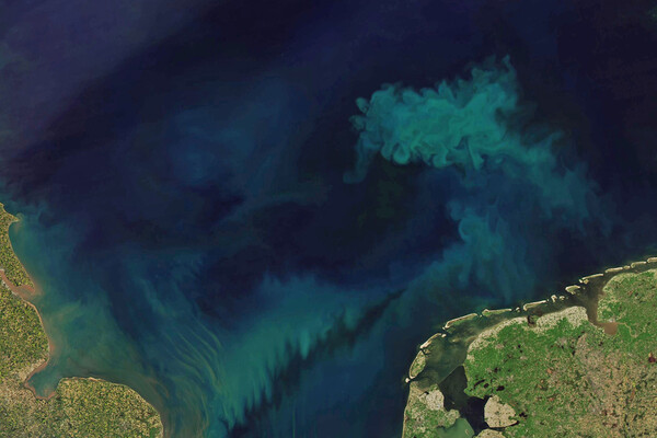 해양 색상의 변화를 추적하기 위해 과학자들은 Aqua 위성에 탑재돼 21년 동안 해양 색상을 모니터링해온 MODIS (Moderate Resolution Imaging Spectroradiometer)가 촬영한 해양 색상 측정을 분석했다. [사진출처(Photo source) = NASA, Joshua Stevens, 미국 지질 조사국USGS)]
