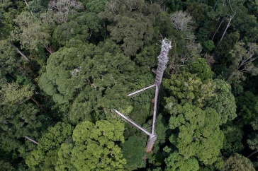 탄소 및 물순환 측정을 위한 데이터를 수집하는 산림 생태계의 플럭스 타워 전경. [사진제공 = NAISHEN LIANG]