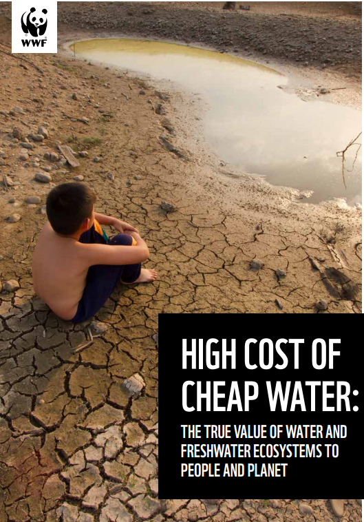 “세계에서 가장 소중하지만 과소평가된 자원인 물이 인간과 지구의 건강을 모두 위협하는 점점 커지는 글로벌 위기의 중심에 있다”고 세계자금기금(WWF)가 10월 16일 발표한 새로운 보고서에서 경고했다. 사진은 『The High Cost of Cheap Water(값싼 물의 높은 비용)』이라는 보고서 표지. [사진출처(Photo source) = 세계자금기금(WWF)]