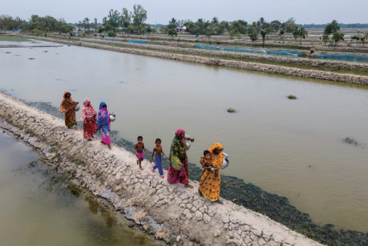 식수를 위한 여정(Journey for Water)사진작가 : 무함마드 암마드 호사인(Muhammad Amdad Hossain, 방글라데시)촬영장소 : 방글라데시 삿키라(Satkhira, Bangladesh)