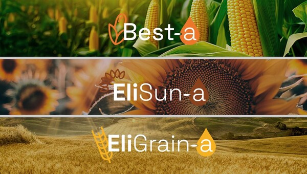  -(Agri-Biotech) ŸƮ ϸ ÷Ʈ(Elicit Plant) 11 16(ð)   ǰ ϸ׶(EliTerra)      ޾Ҵٰ . ϸ ÷Ʈ   1009-2019  (EU) 27 2 ǰ ȭ  ִ  㰡 ޾Ҵ. [ = ϸ ÷Ʈ(Elicit Plant)]