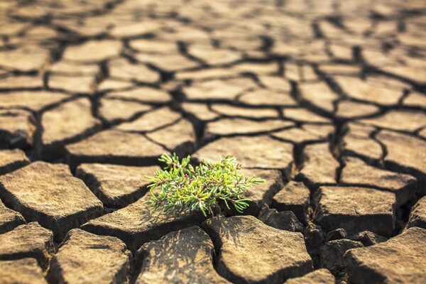 정부는 2024년 1월부터 3월까지 전국 가뭄 상황에 대한 예·경보를 발표했다.