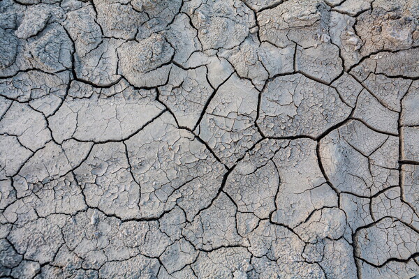 ̱ ĭҴб(University of Arkansas) а  ߱   ۼ ο  '-ȫ (drought-pluvial volatility)',  ܱⰣ  شܿ ٸ ش(  Ǵ  ) ̵ϴ ( Ŀ  ķ)  ߴ. [(Photo Source) =University of Arkansas]