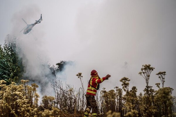 칠레에서 발생한 대규모 산불로 막대한 인명피해가 발생했다. [사진출처(Photo Source) = WMO, Presidencia de Chile]