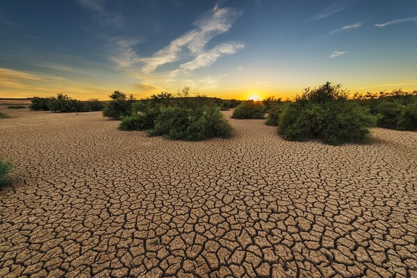 모로코, 알제리, 튀니지 등 북아프리카 지역에서는 가뭄이 장기화되고 있어 상황이 더욱 심각하다. [사진출처(Photo source) = 픽스배이(Pixabay)]