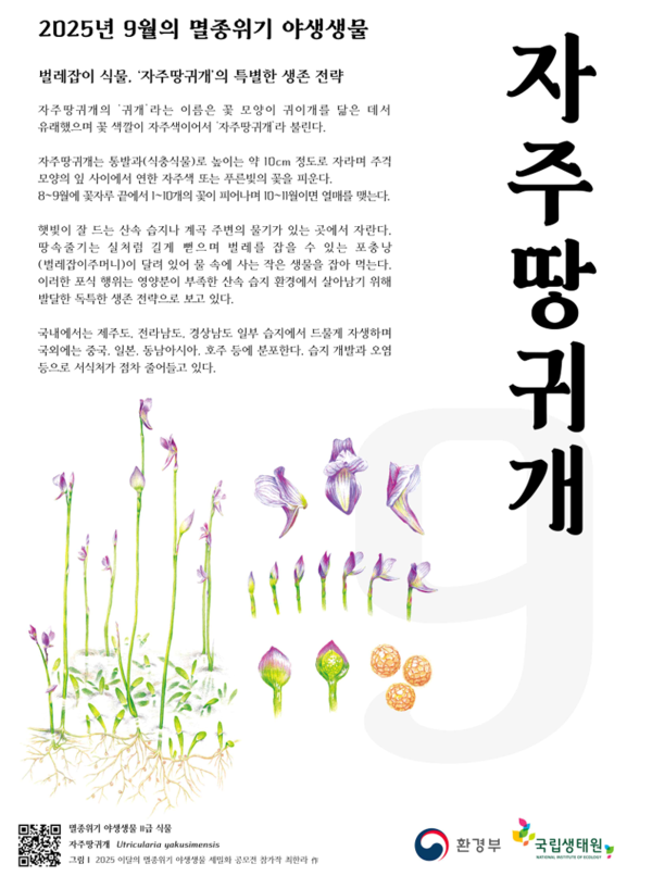 [�ڷ����� = ȯ���]