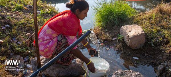 ���ĺ�ȭ�� ���� ��� ������ ������ ������ ��ȭ�ʿ� ���� ����� ����°� ���� ����� ���� ������ ������ ���� �� Ŀ���� �ִ�. AI�� ����Ʈ ������ ������ ���ɼ��� ����������, �����, ��Ȳ �ν�, �׸��� å�� �ִ� �Ź��ͽ��� �޹�ħ�� ������ �� ������ �����Ѵ�.  [������ó(Photo source) = �������ڿ������ⱸ(IWMI)]