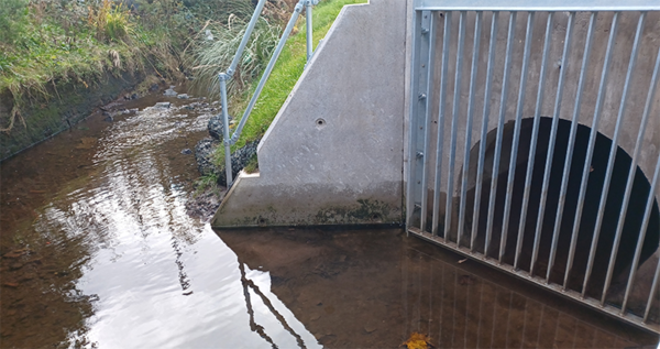 ����Ƽ�� ���ʹ� 2025�� �ϼ������� �߻� �����͸� �����ߴ�. [������ó = ����Ƽ�� ����(Scottish Water)]